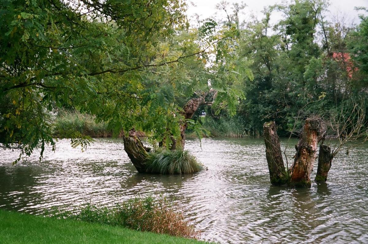 Villa Hedi Vendeghaz Dunakiliti Dış mekan fotoğraf
