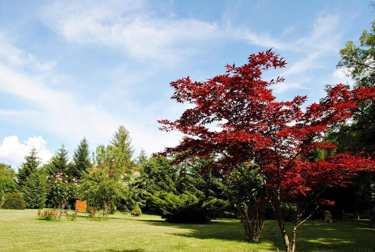 Villa Hedi Vendeghaz Dunakiliti Dış mekan fotoğraf